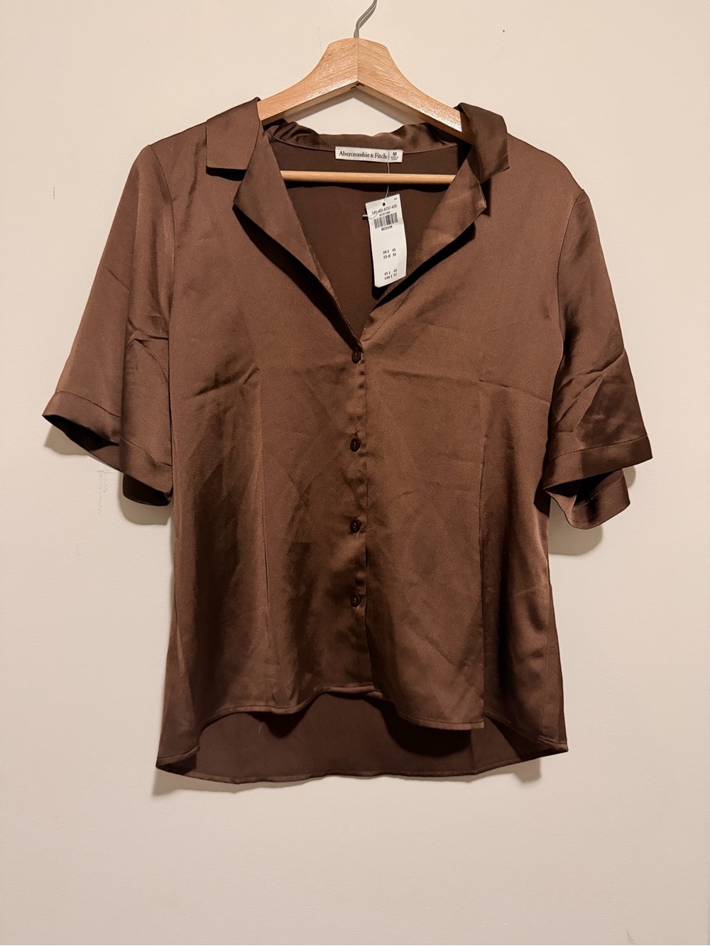 Abercrombie & Fitch Chocolate Brown Satin Button-Down Blouse